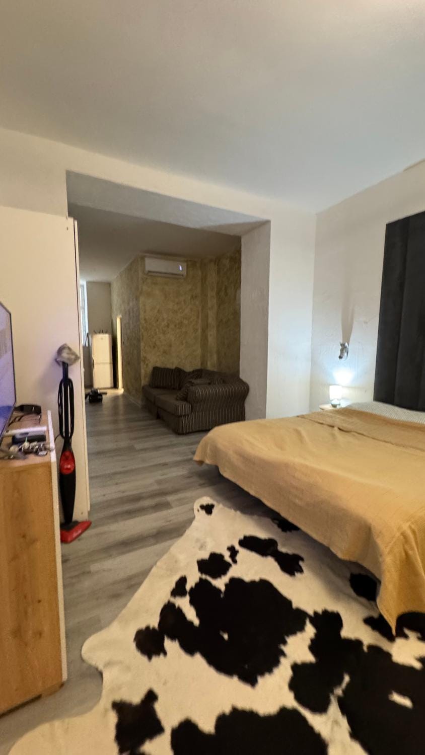 Iron apartmán Apartment in Czechia