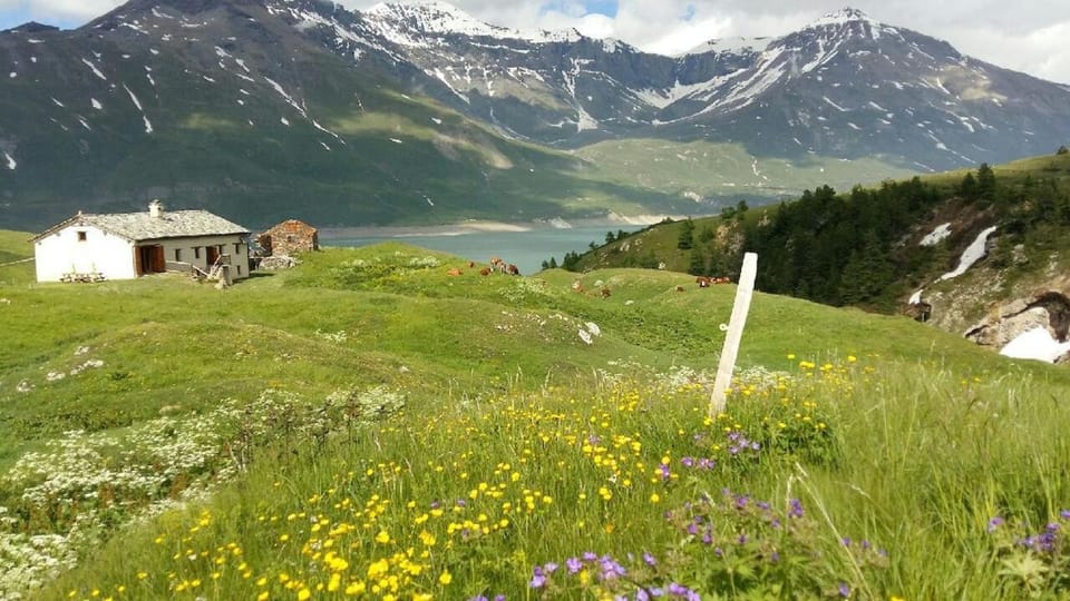 Landmark view