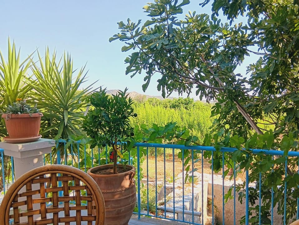 Spring, Day, Garden, View (from property/room), Balcony/Terrace, Garden view