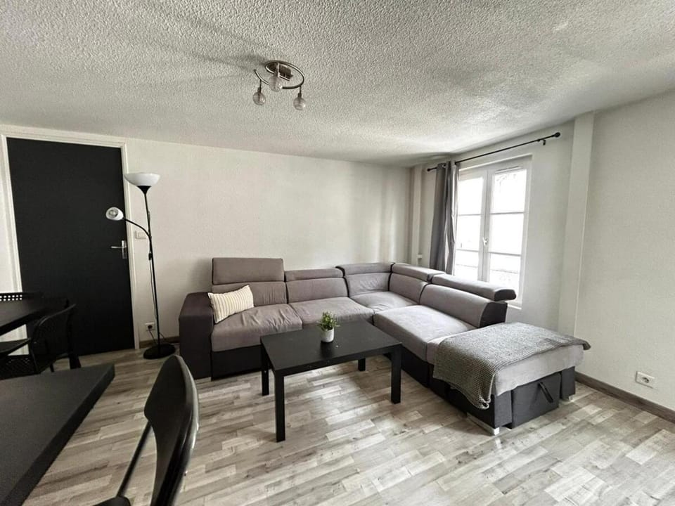 Le Saint-Pierre, spacieux en hypercentre Apartment in Limoges
