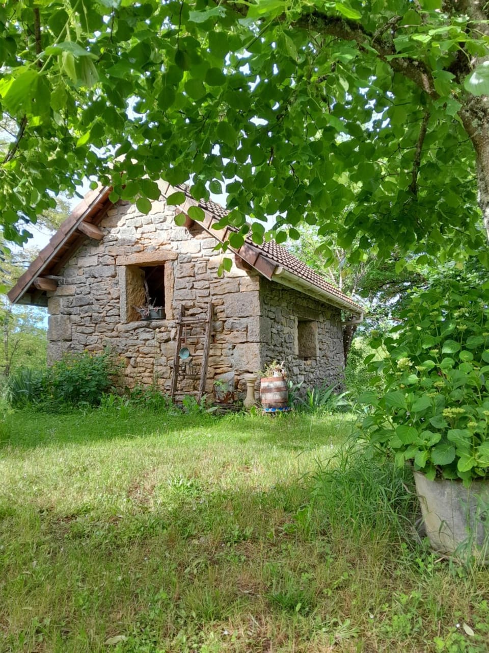 Garden view