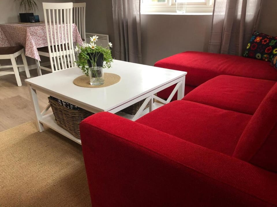 Cozy holiday apartment in the heart of Vrådal! Apartment in Viken, Norway
