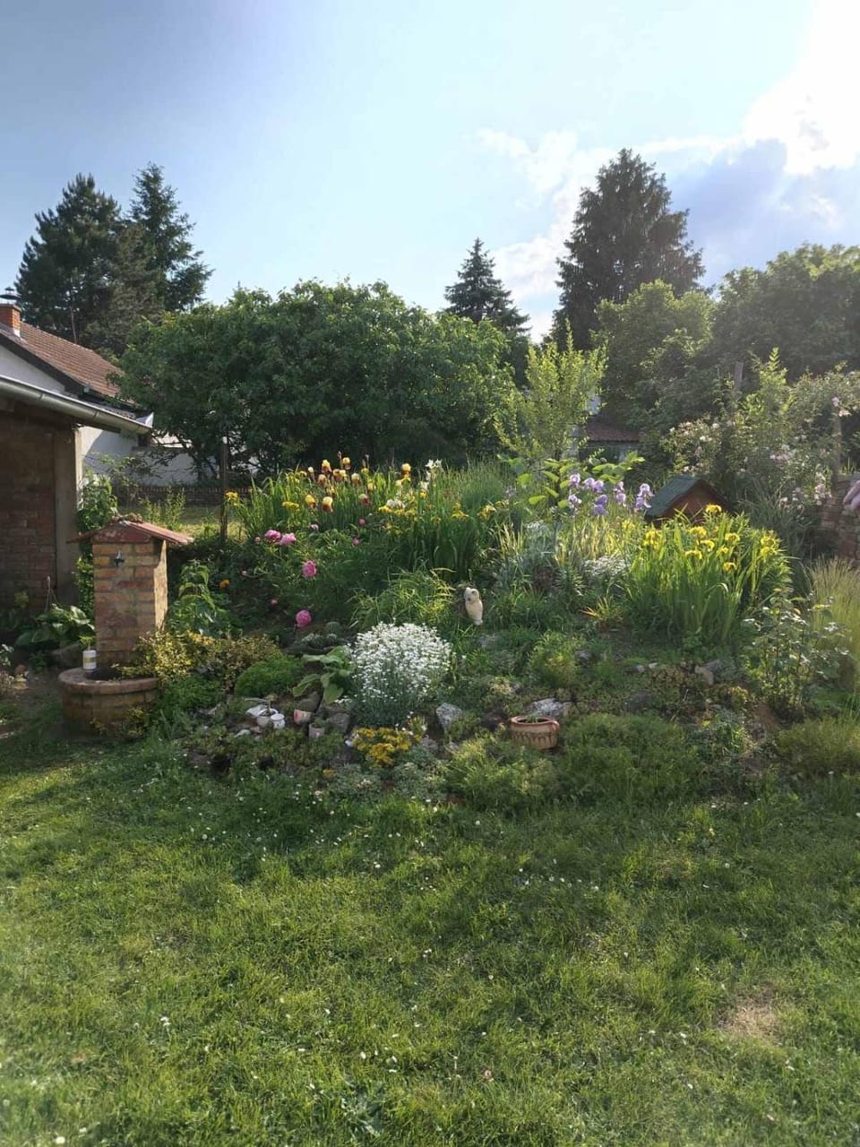 Tamara Apartment in Vojvodina