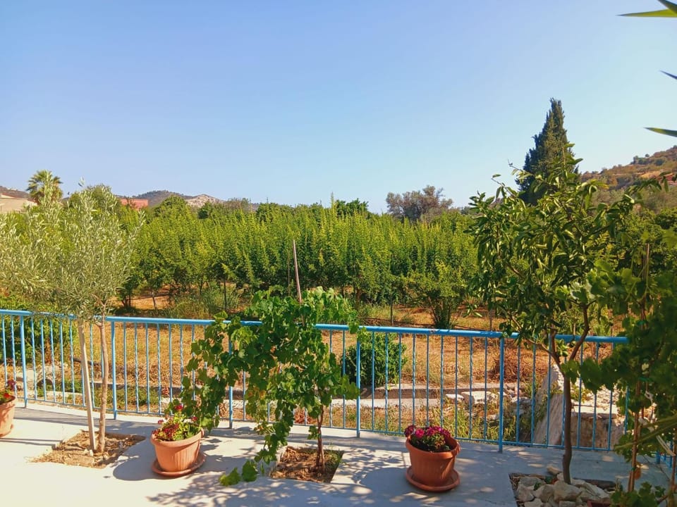 Spring, Day, Natural landscape, Garden, Garden, Balcony/Terrace, Garden view