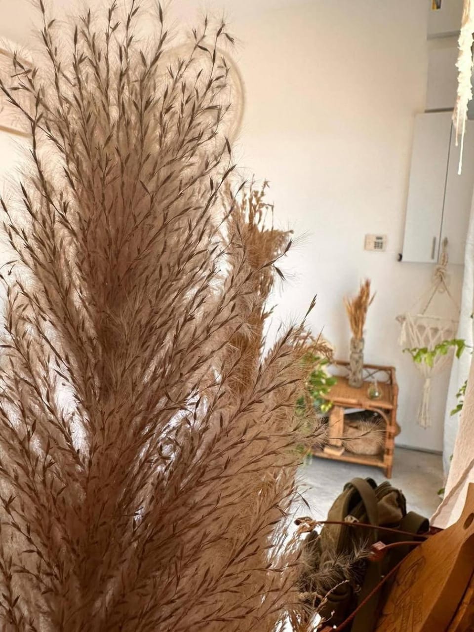 bali- loft&events Villa in Tel Aviv-Yafo