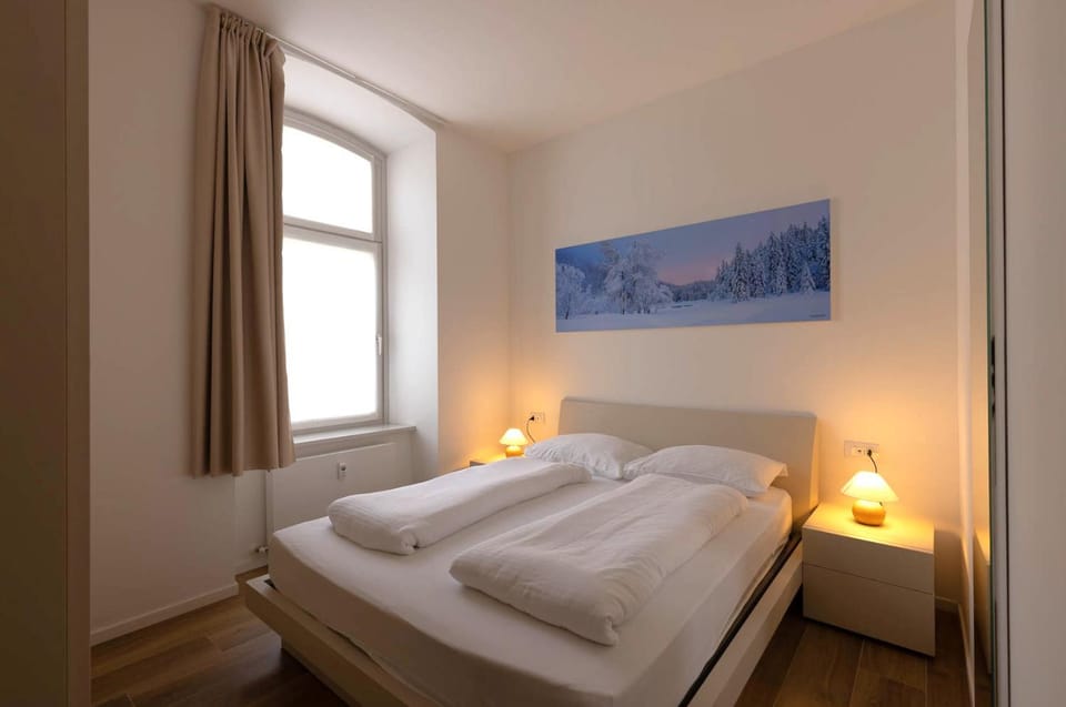 Tarvisio Suites - Centro & Alpe Adria Bike - 104 Apartment in Tarvisio