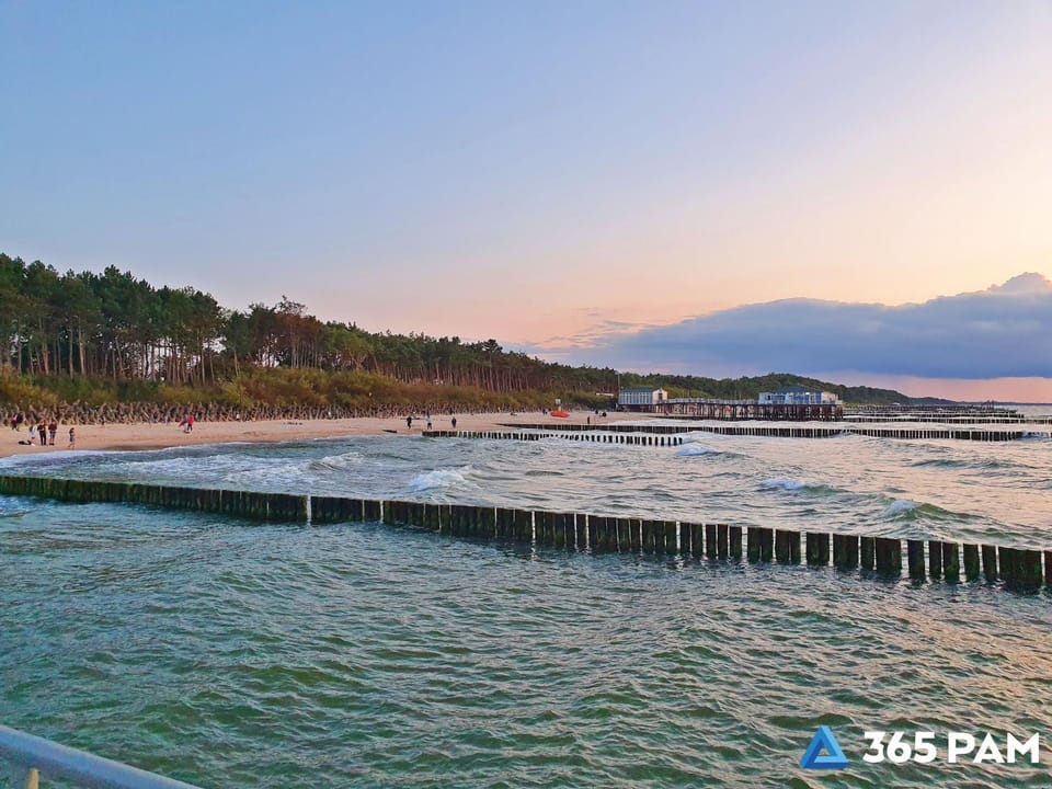 Day, Natural landscape, Beach, Sunset