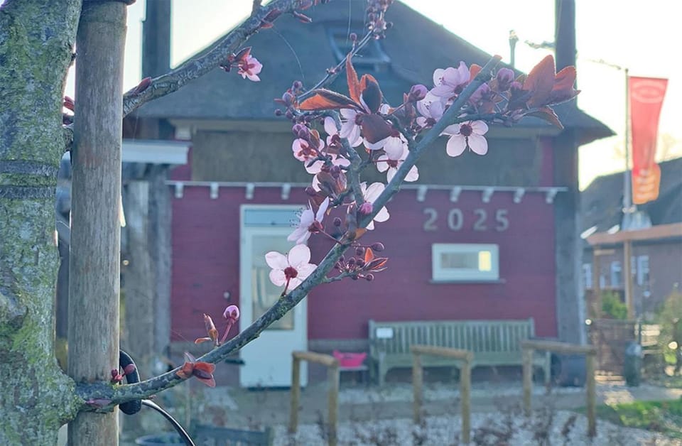 Property building, Spring, Day, Garden