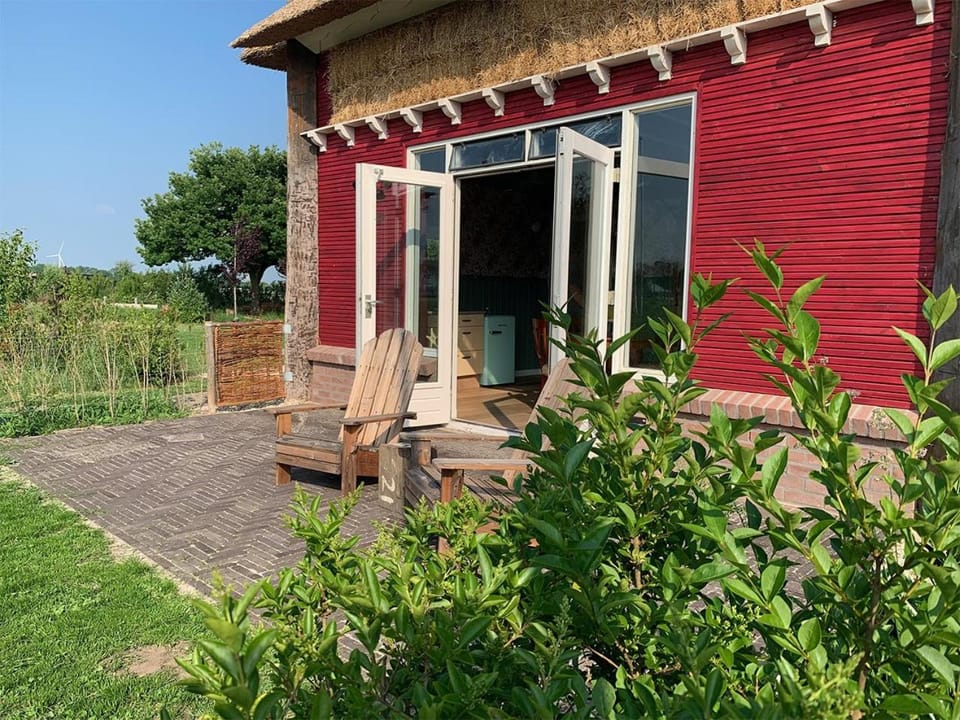Garden, Garden, Garden view, Garden view