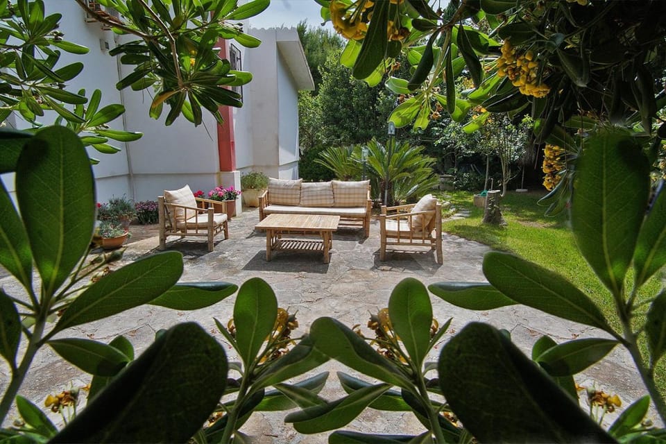 Garden, Seating area, Garden view