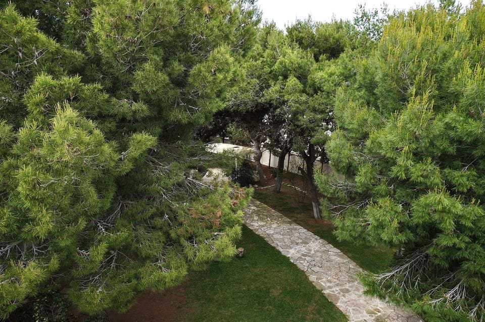 Natural landscape, Garden, Garden view