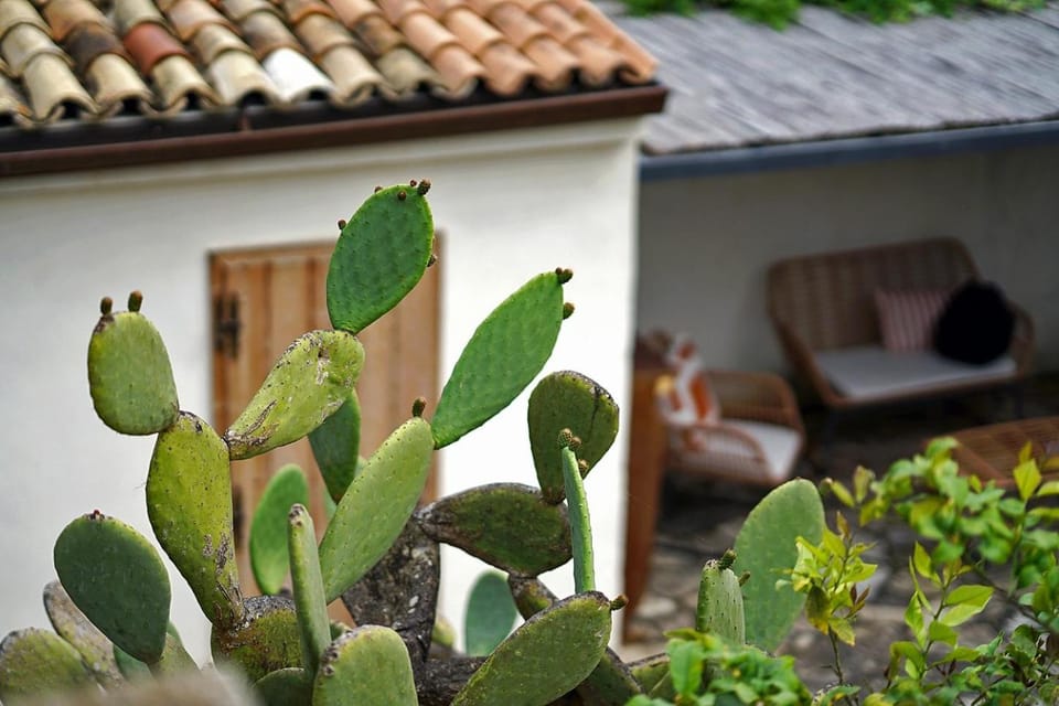 Garden, Garden view