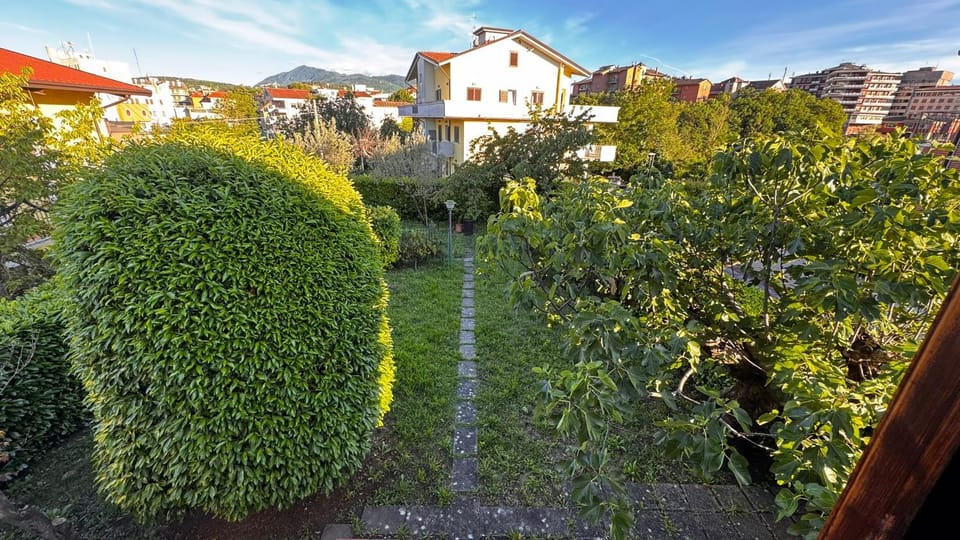 Garden view