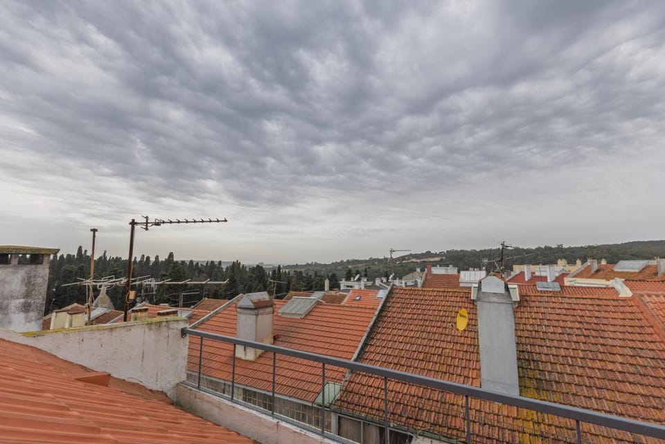 Day, City view