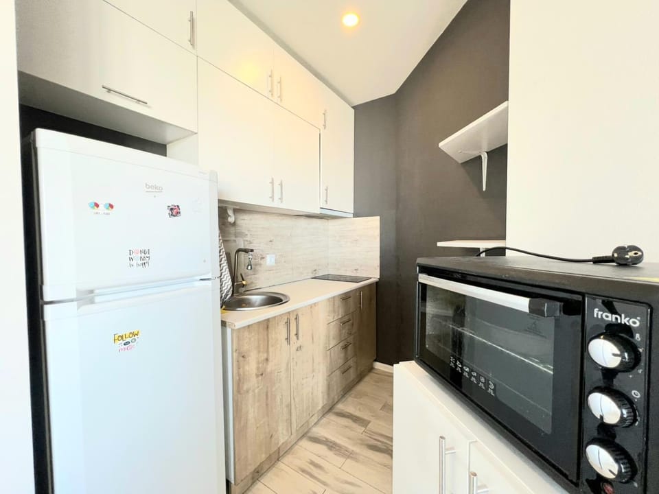 Kitchen or kitchenette, dishwasher, stove