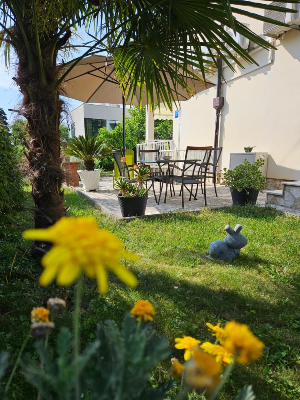 Garden view