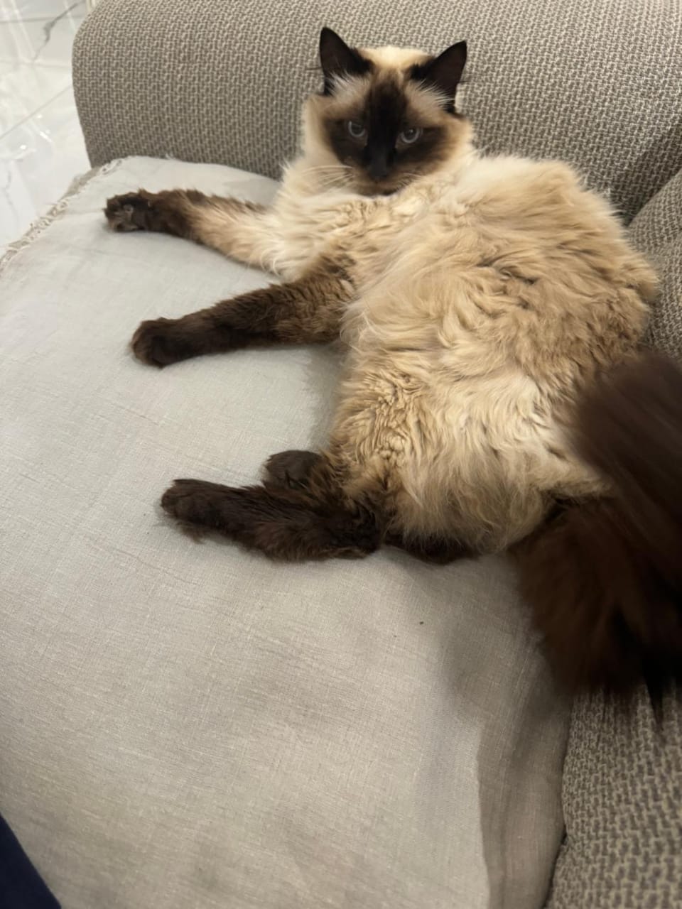 Villa Victoria La Ciotat Villa in La Ciotat