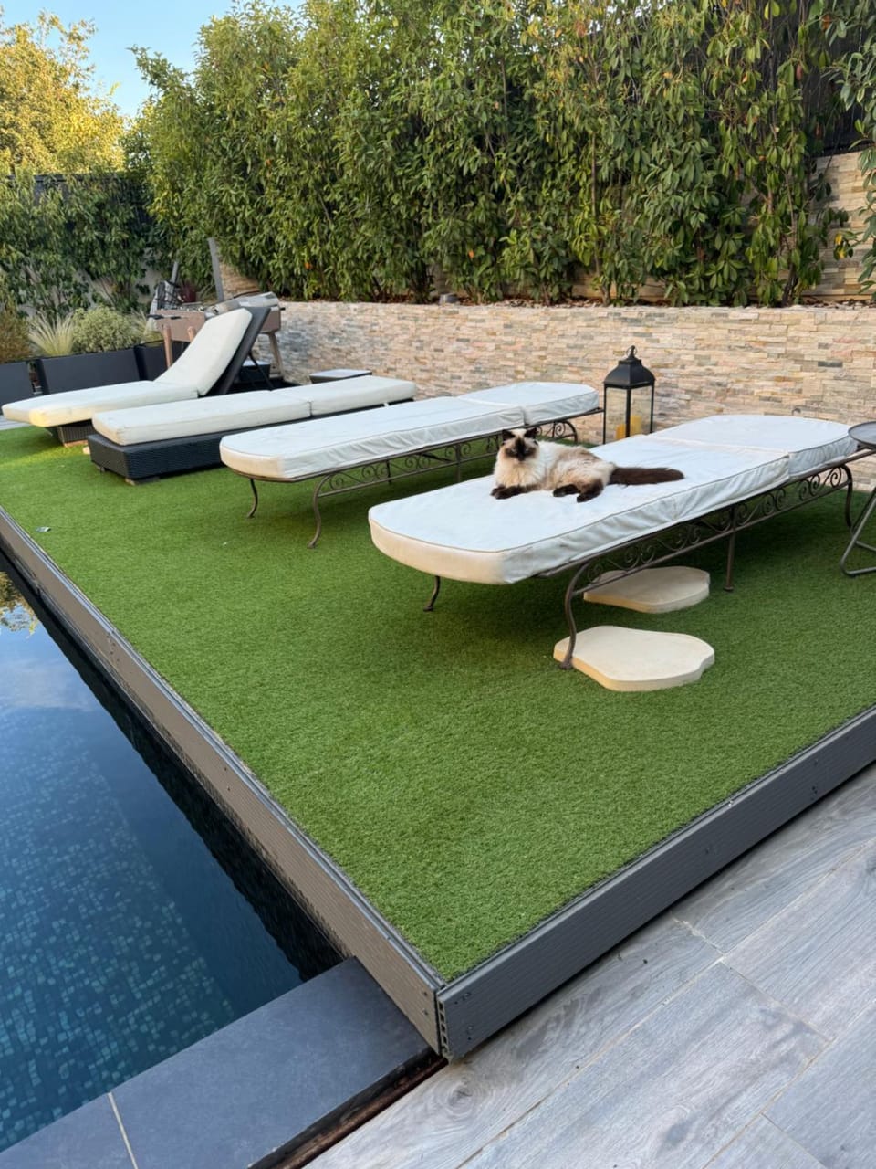 Garden, Balcony/Terrace