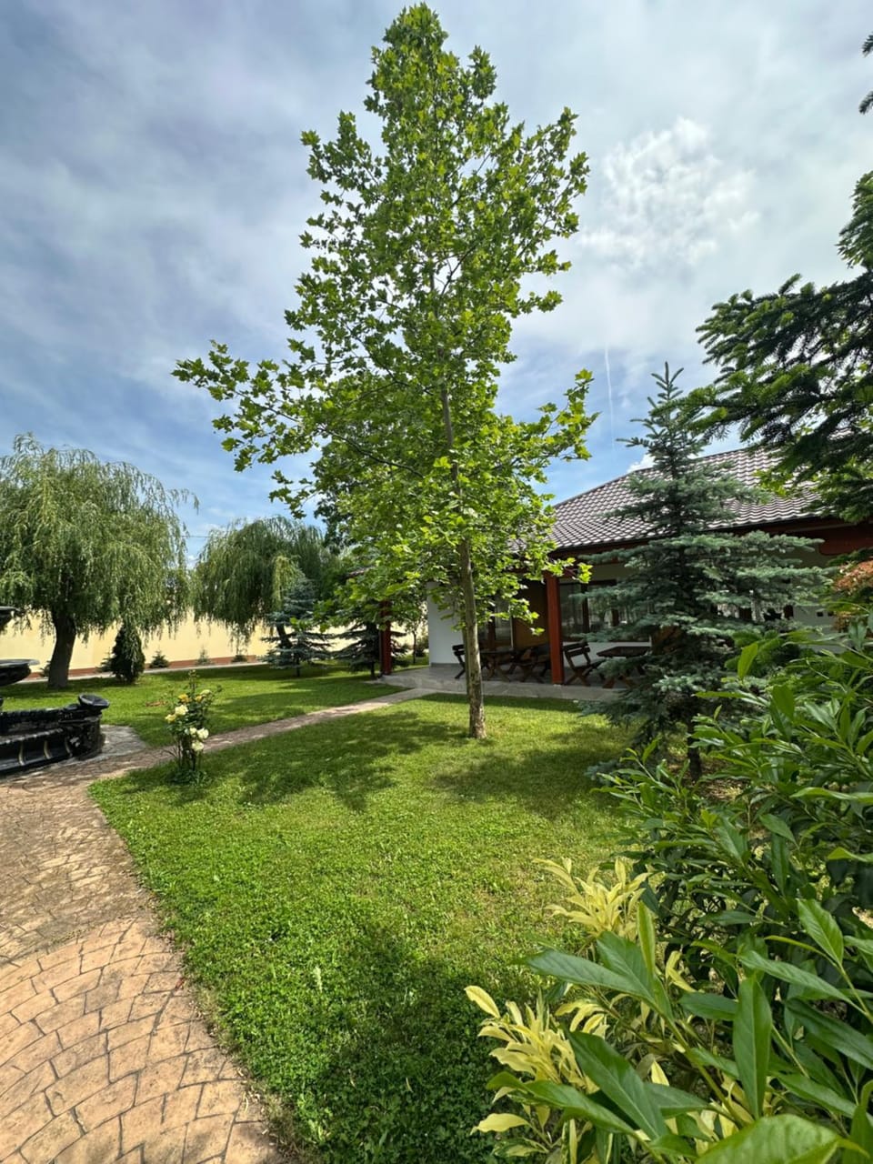 Complex Trans Bitum Bed and Breakfast in Cluj County
