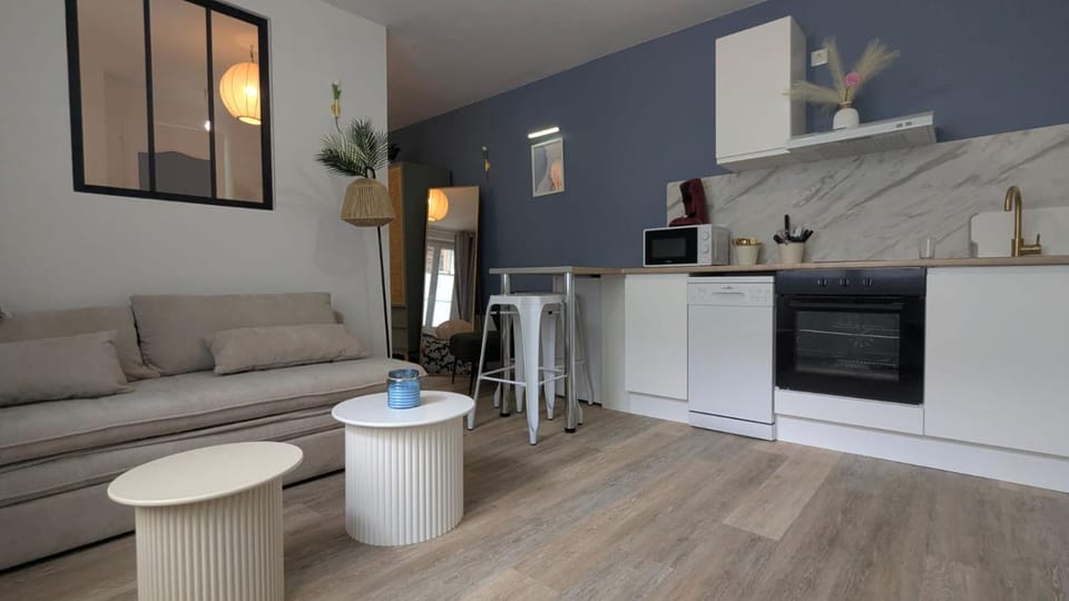 Cosy Lila - T1 - Centre ville Apartment in Pau