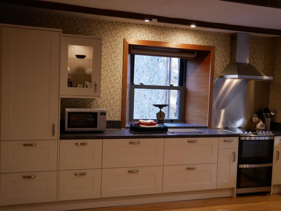 Kitchen or kitchenette, oven, stove