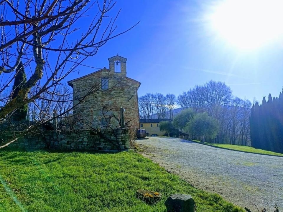 Property building, Day, Garden view