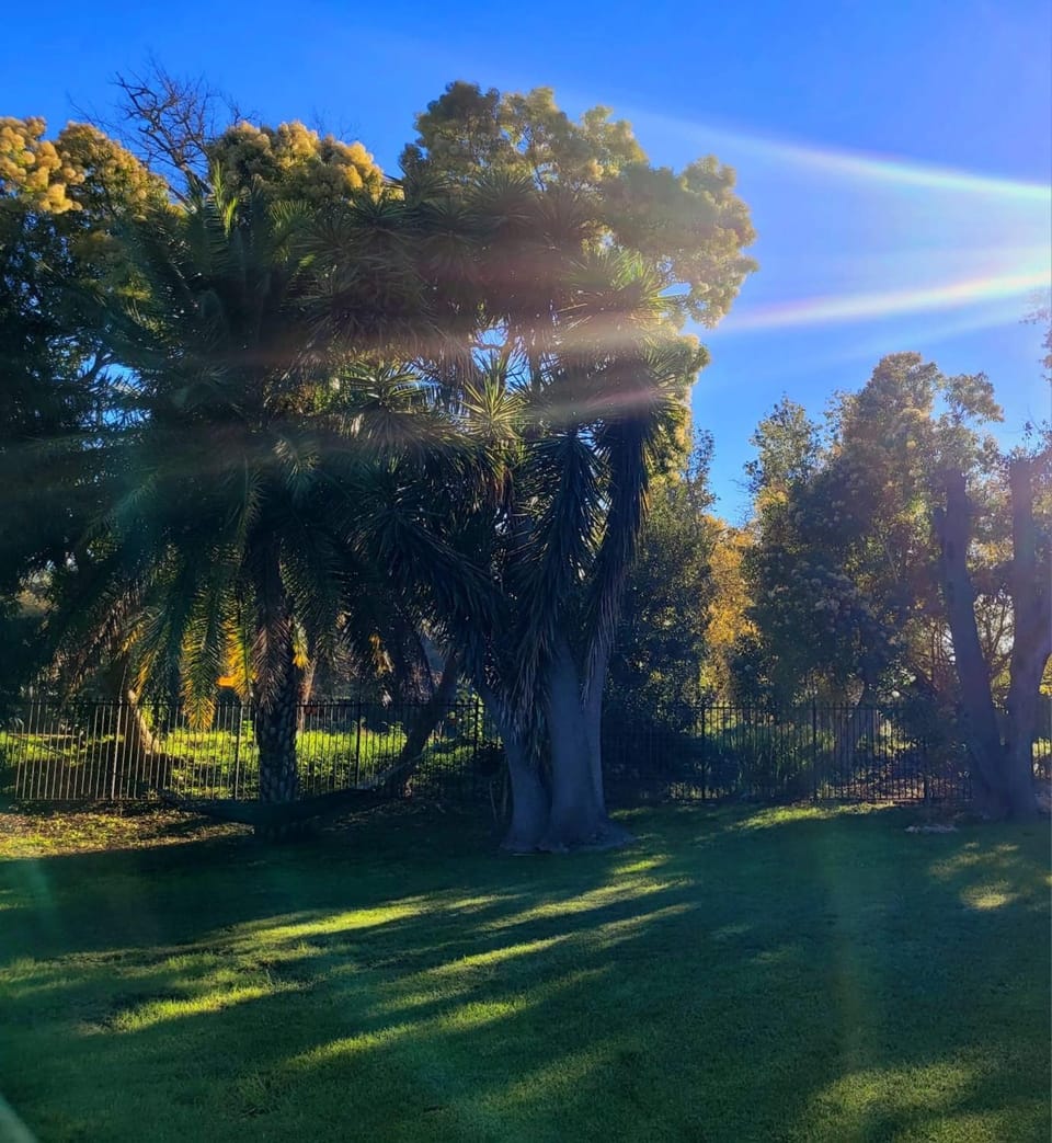 Garden, Balcony/Terrace