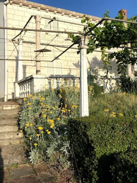 Family apartments Dominković Apartment in Lopud