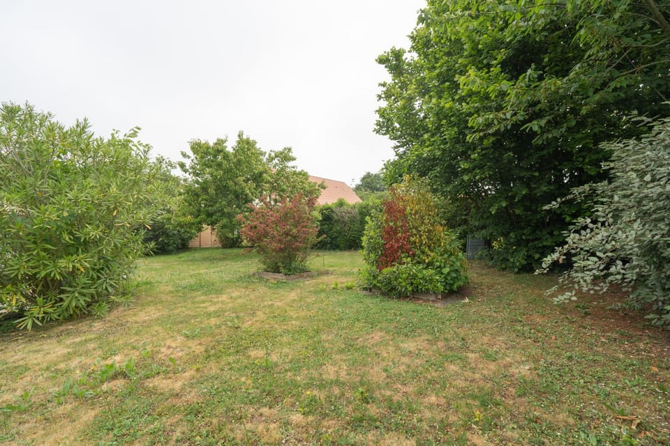 Natural landscape, Garden, Garden, Garden view