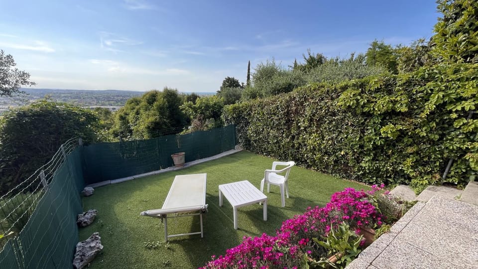 Patio, Natural landscape, Garden, Garden view, sunbed