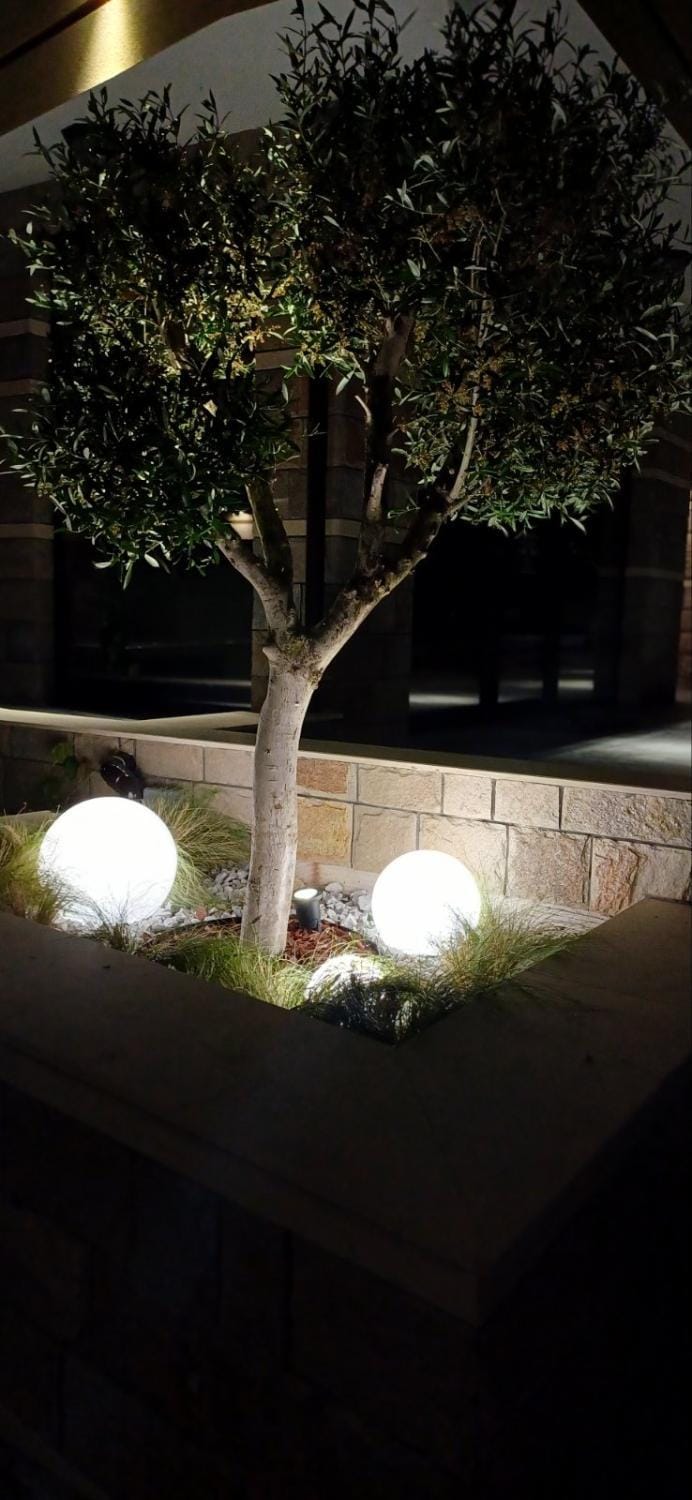 Night, Garden