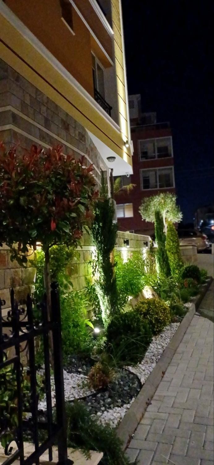 Property building, Night, Garden