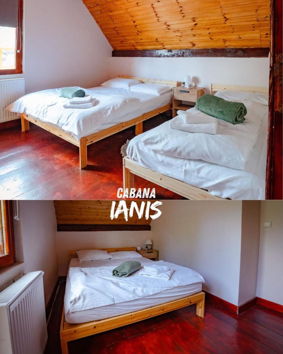 Cabanele Doi Frati Chalet in Cluj County