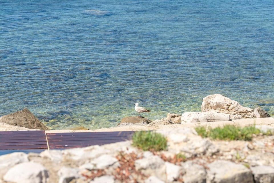 Studio Levant by Briskva Apartment in Umag