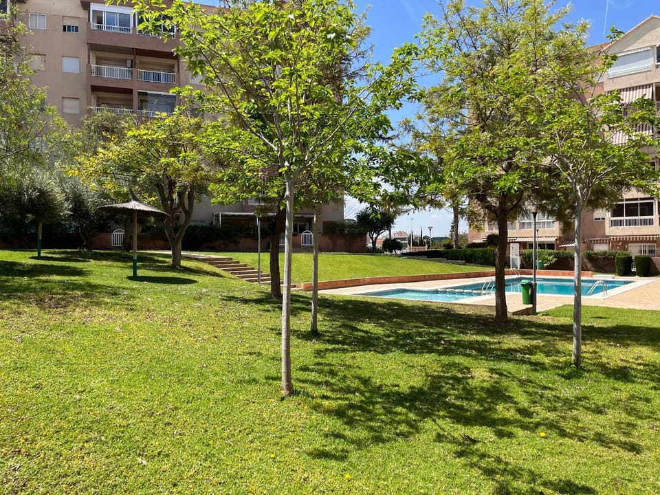 Garden, Swimming pool