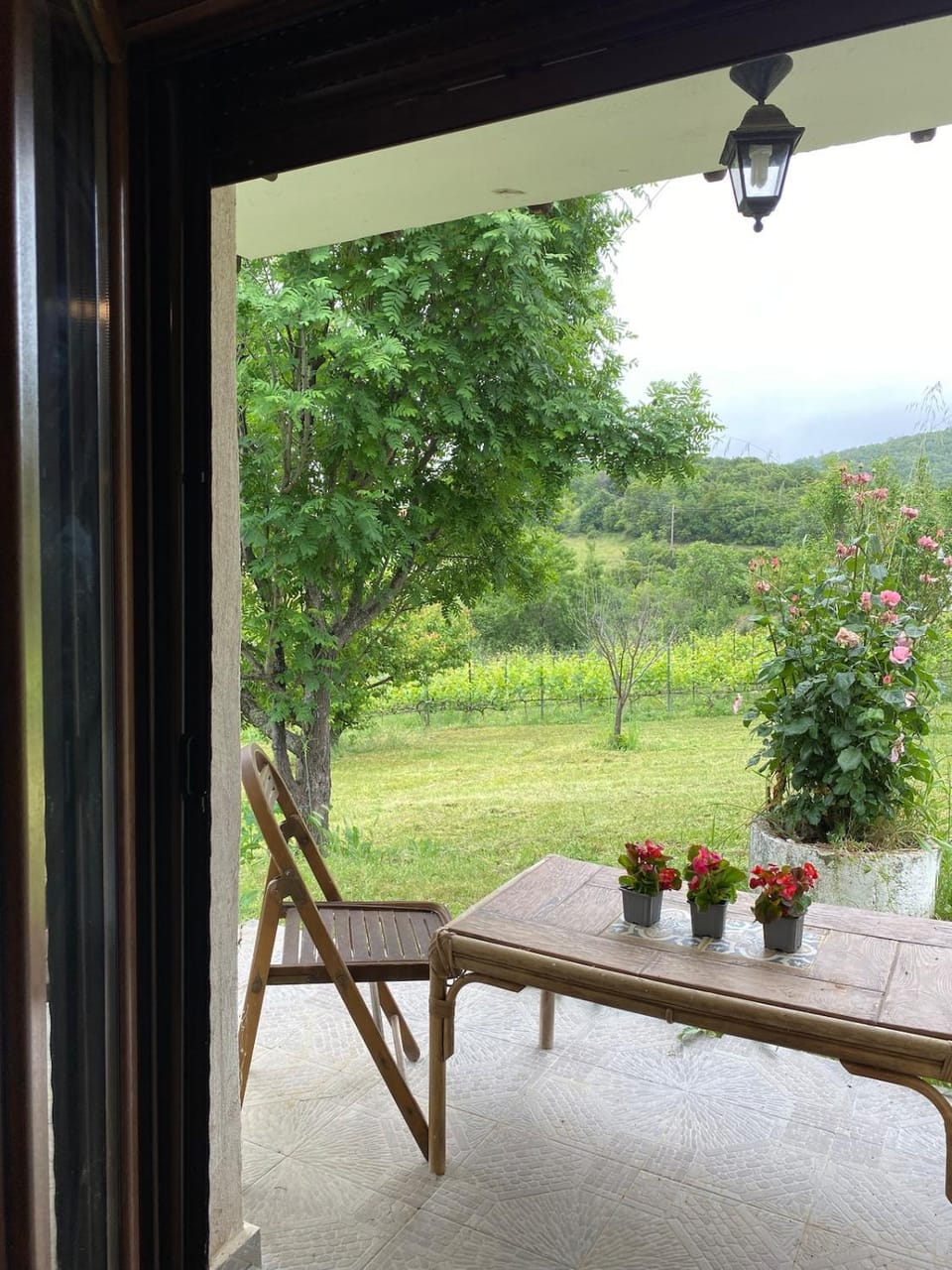 Garden, Balcony/Terrace, Garden view