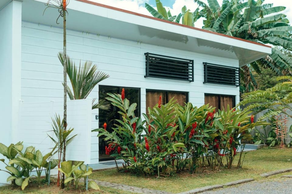 Property building, Garden