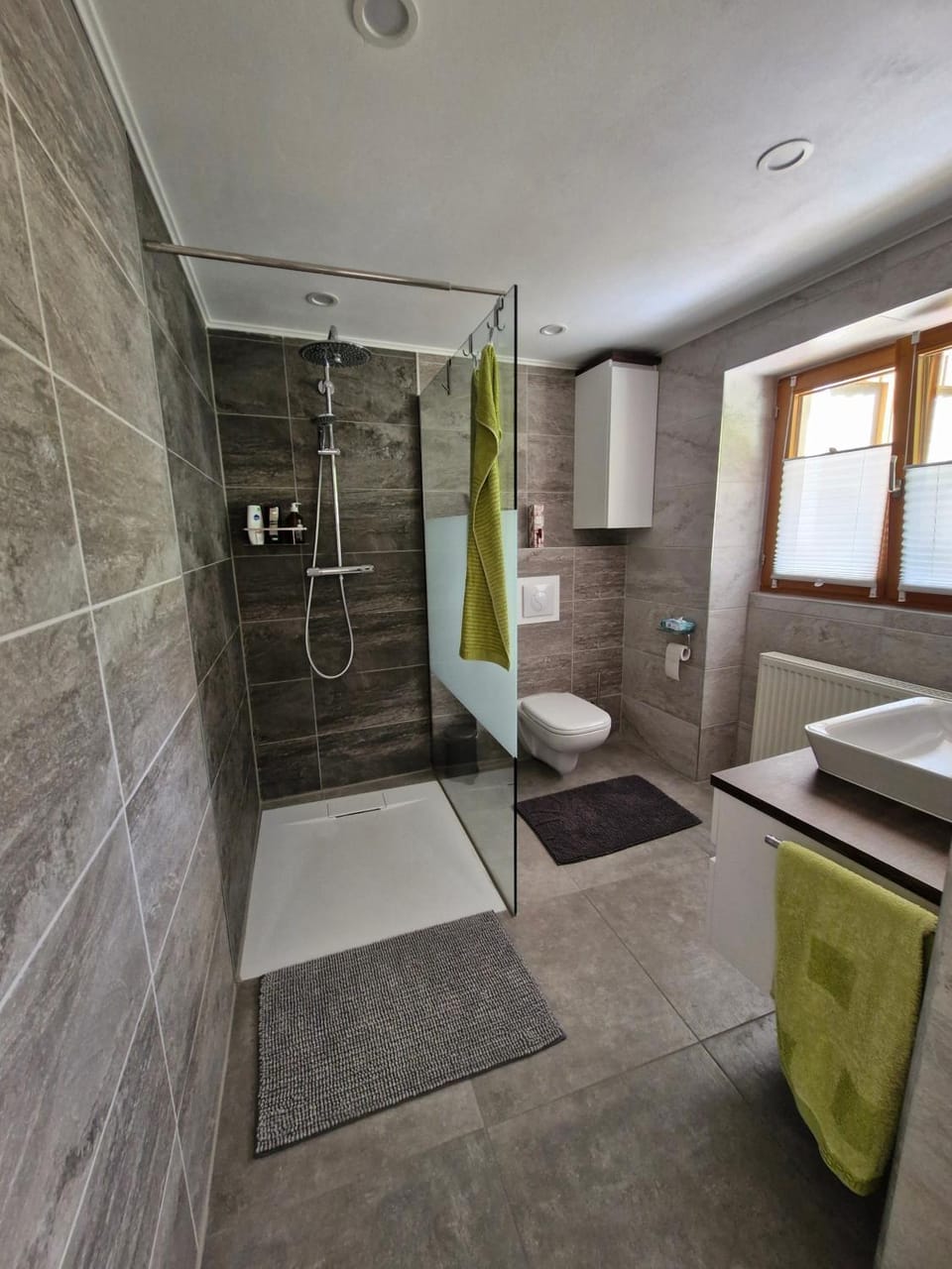 Bathroom, Living room