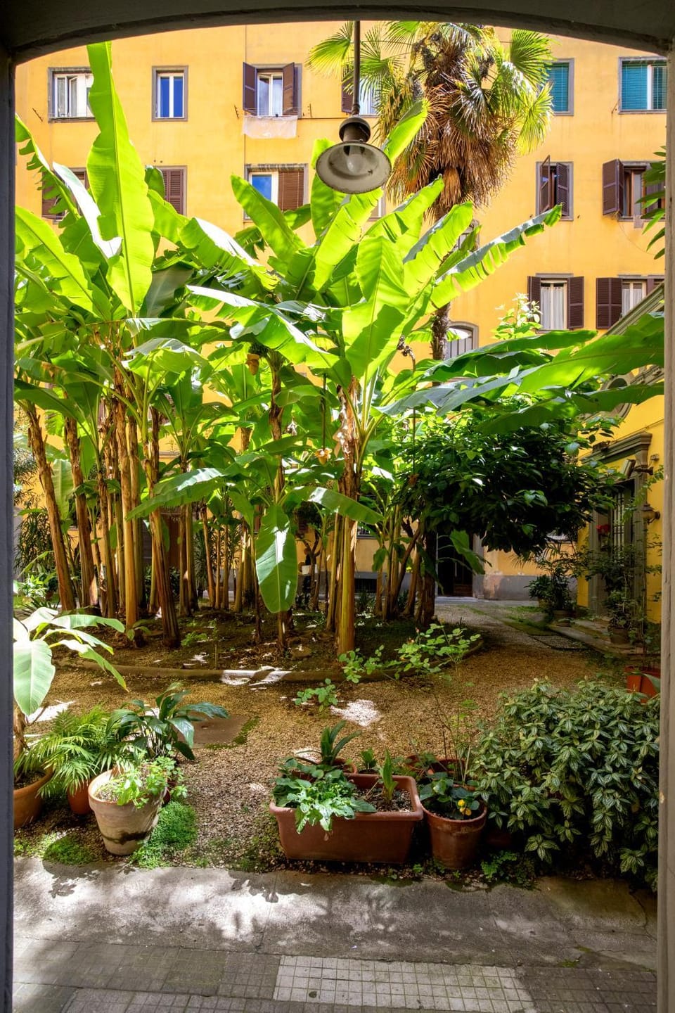 Garden view