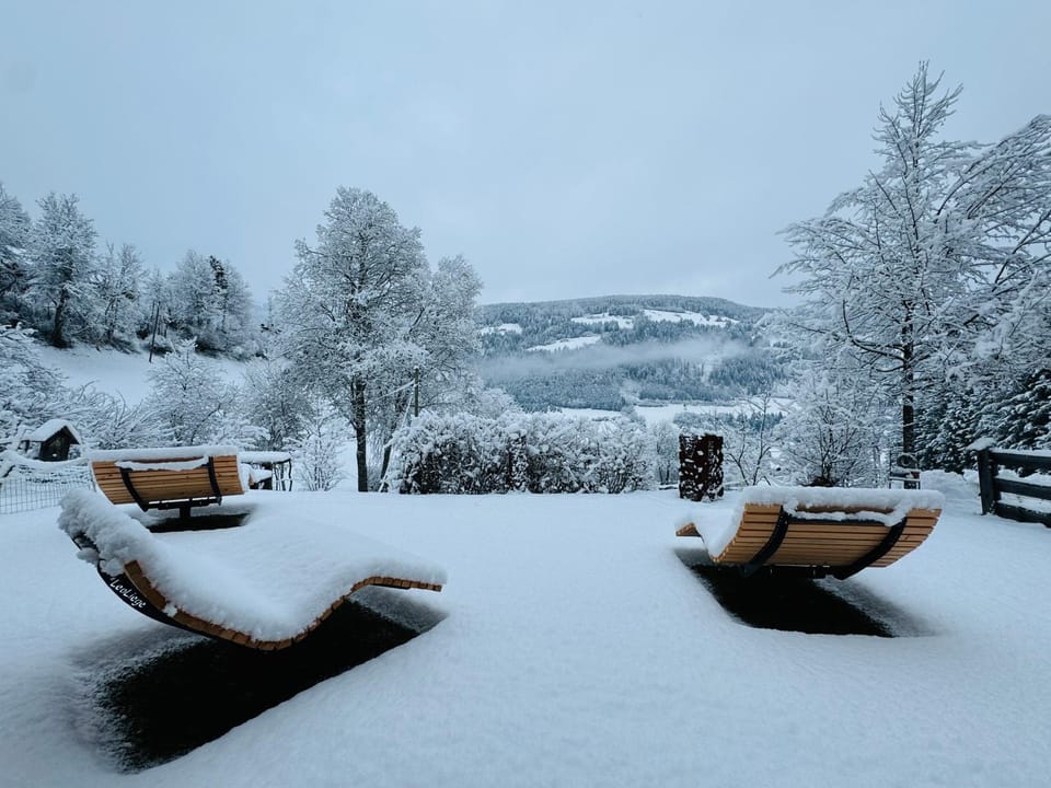Winter, Garden