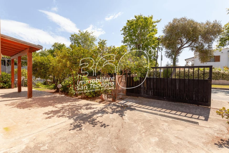 Day, Natural landscape, Garden, Garden view