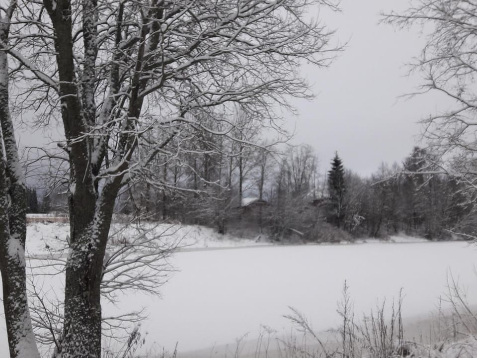Natural landscape