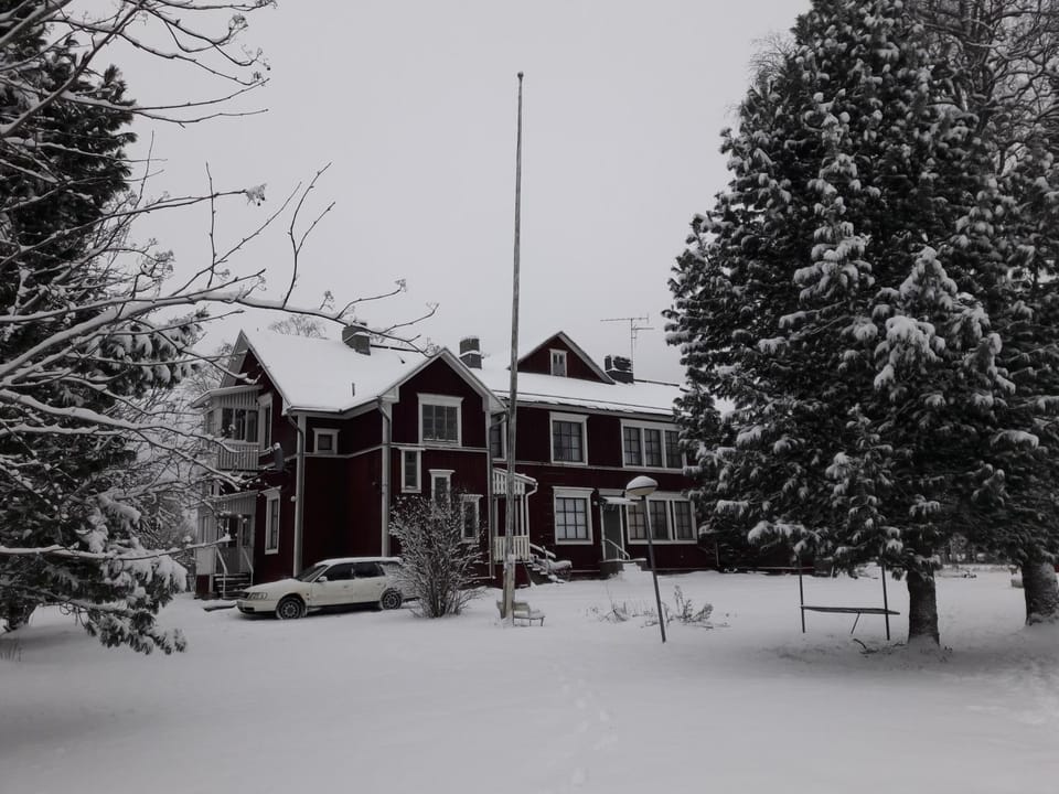 Winter