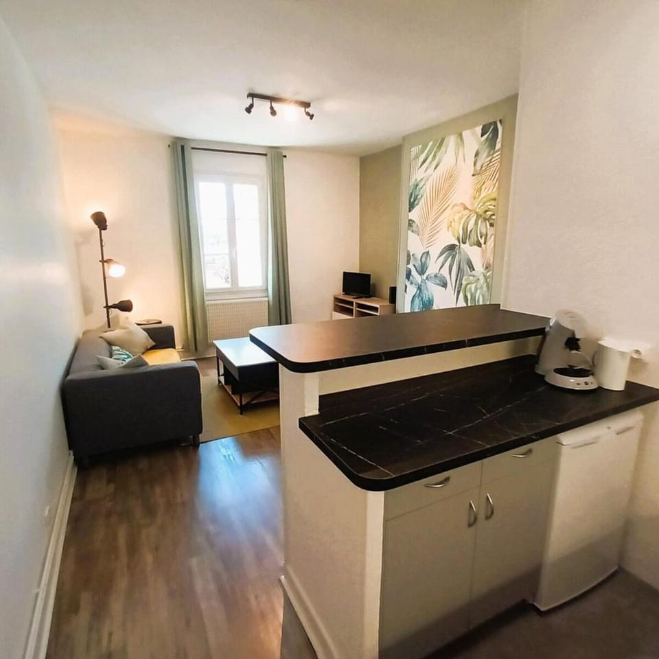 L'Oasis-T2 spacieux-Wifi-TV-Proche Gare Apartment in Tours