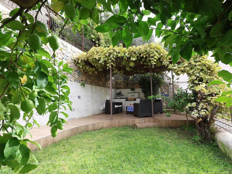 Patio, Garden