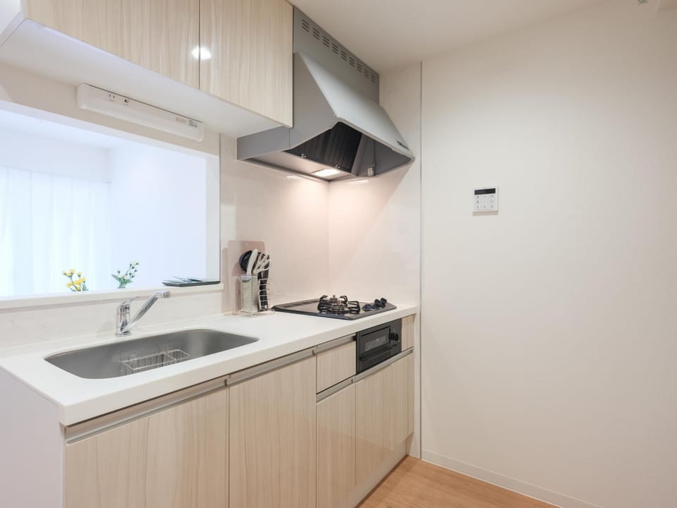 Kitchen or kitchenette, stove
