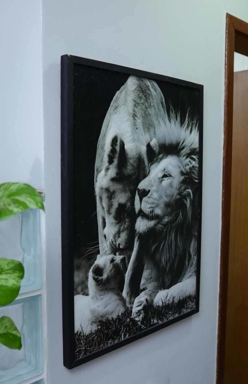 Apartamento confortável ideal para casais Apartment in Campos