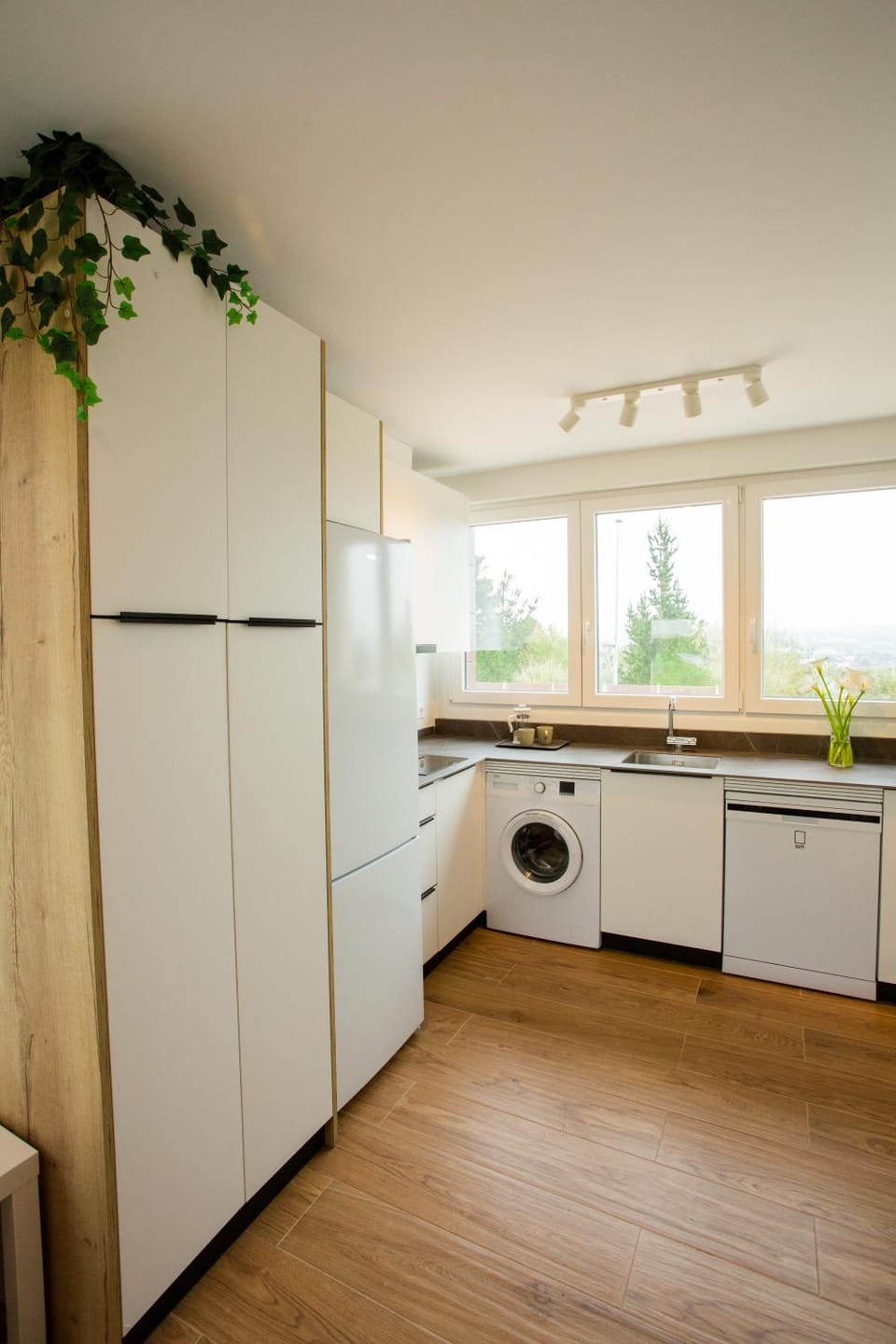 Kitchen or kitchenette, dishwasher, oven, washing machine