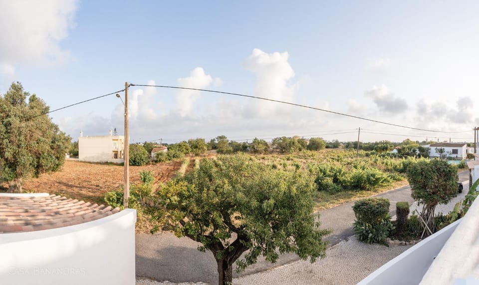 Neighbourhood, Natural landscape, Street view