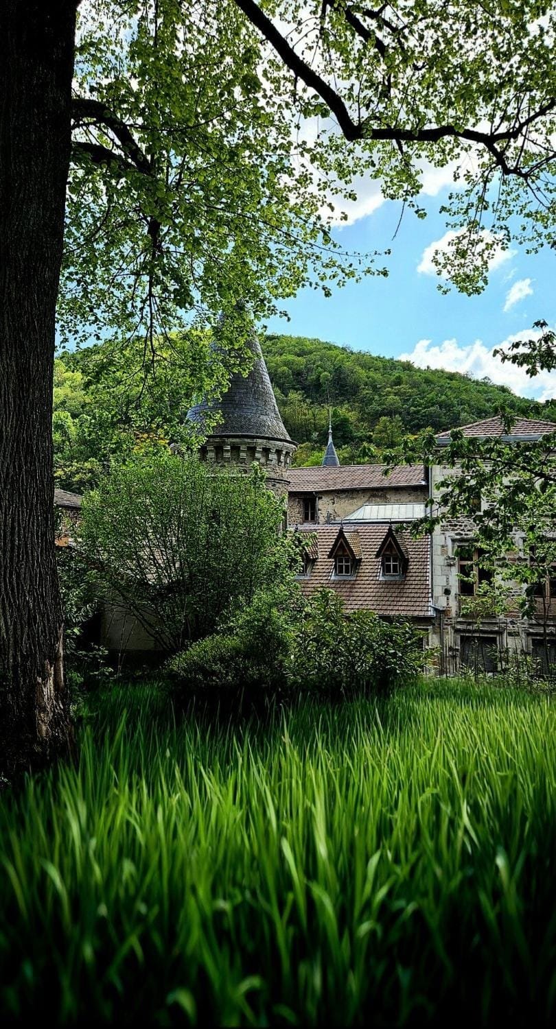 Château Louis XI en Beaujolais Villa in Auvergne-Rhône-Alpes